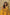 Shweta Tiwari by Gamila